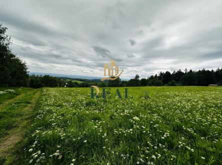 fotografie | Prodej - pozemek, trvalý travní porost, 6 594 m²