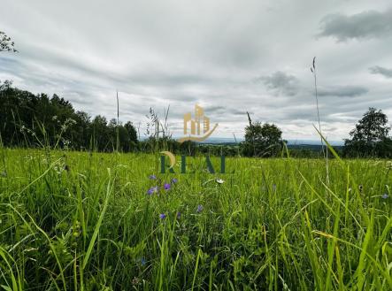 fotografie | Prodej - pozemek, trvalý travní porost, 6 594 m²