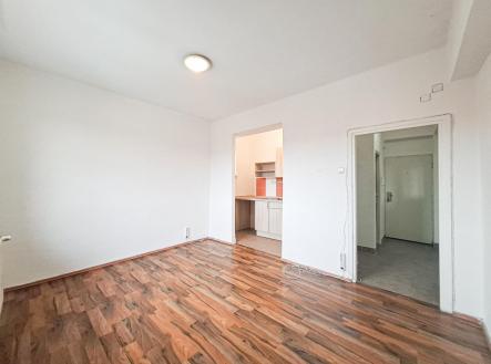 2. Pokoj | Pronájem bytu, 1+kk, 22 m²