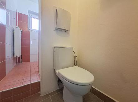 9. WC | Pronájem bytu, 1+kk, 22 m²