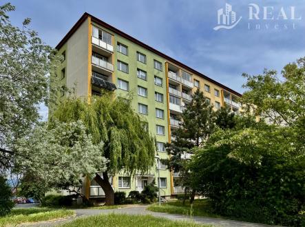 fotografie | Pronájem bytu, 4+1, 78 m²