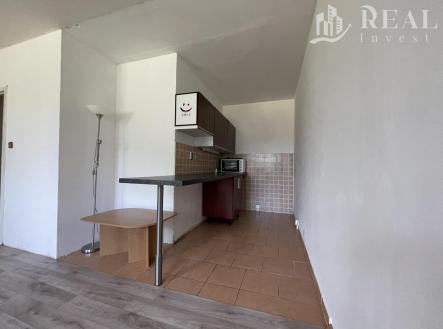 IMG_4334.jpeg | Pronájem bytu, 1+kk, 32 m²