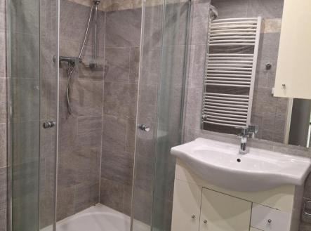 Obrázek WhatsApp, 2025-10-10 v 08.39.10_fef7c326.jpg | Pronájem bytu, 2+1, 50 m²