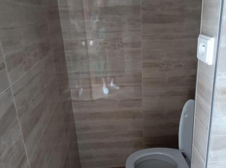 IMG_20250918_121315.jpg | Pronájem bytu, 2+kk, 39 m²