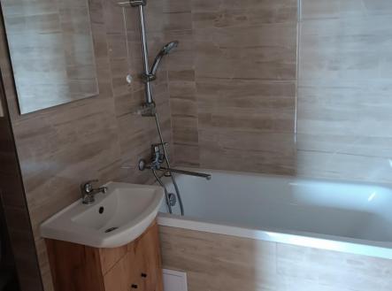 IMG_20250918_121310.jpg | Pronájem bytu, 2+kk, 39 m²