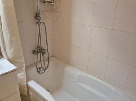 Obrázek WhatsApp, 2025-11-04 v 12.09.47_ea5a0411.jpg | Pronájem bytu, 2+1, 56 m²