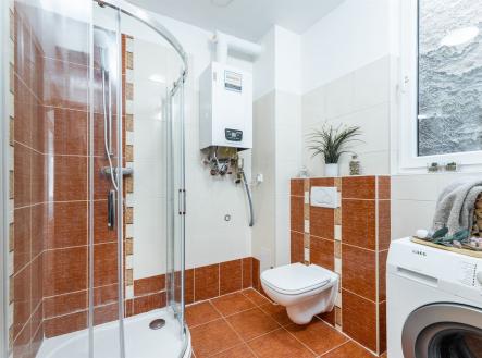 . | Pronájem bytu, 1+1, 46 m²