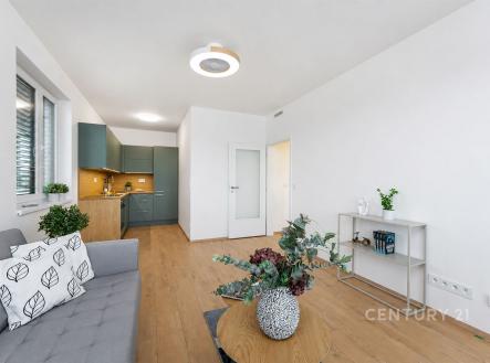 . | Pronájem bytu, 2+kk, 48 m²
