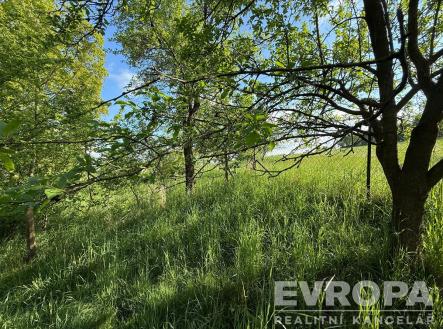 . | Prodej - pozemek pro bydlení, 1 335 m²