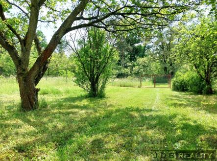 zahrada (6) | Prodej - pozemek, zahrada, 4 523 m²