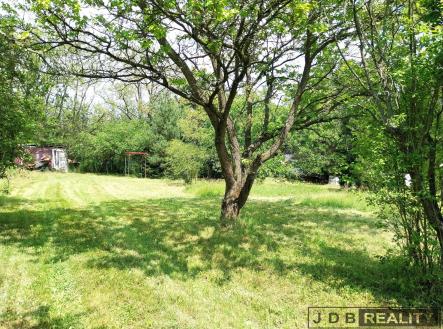 zahrada (7) | Prodej - pozemek, zahrada, 4 523 m²