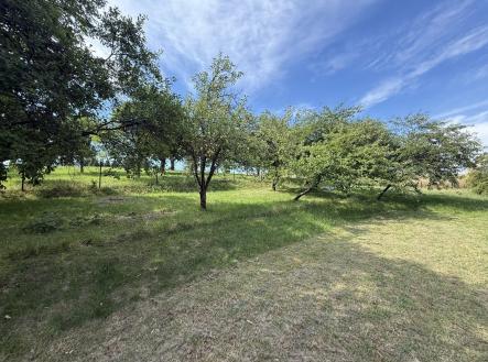 foto: 4 | Prodej - pozemek pro bydlení, 692 m²