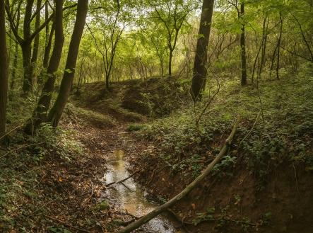 foto: 3 | Prodej - pozemek, zahrada, 1 891 m²