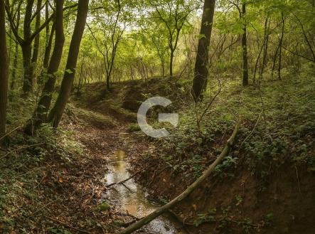 foto: 3 | Prodej - pozemek, zahrada, 1 891 m²