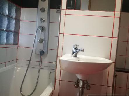 IMG_20200904_124615.jpg | Pronájem bytu, 1+1, 35 m²