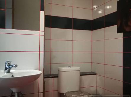 IMG_20200904_124559.jpg | Pronájem bytu, 1+1, 35 m²