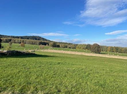 3C8A79A2-595B-469A-8D0C-070007912327.JPG | Prodej - pozemek, zahrada, 955 m²