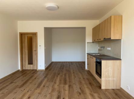 Pronájem bytu, 1+kk, 45 m² obrázek