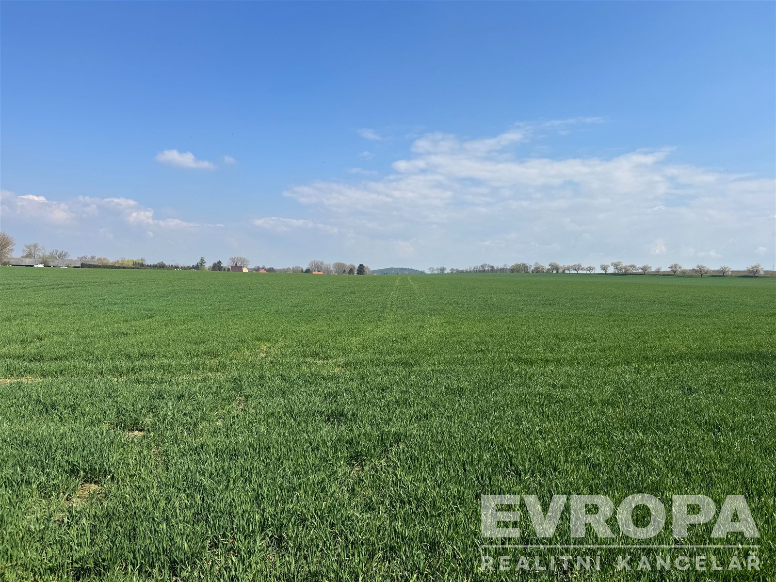 Zelená pole s otevřeným prostorem, krásně udržované a rovné, vhodné pro zemědělské účely nebo developerský projekt na klidném místě.