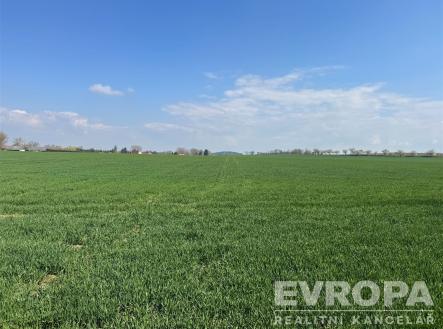 Zelená pole s otevřeným prostorem, krásně udržované a rovné, vhodné pro zemědělské účely nebo developerský projekt na klidném místě. | Prodej - pozemek, zemědělská půda, 7 494 m²