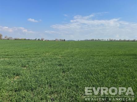 Velké stavební pozemky v klidné oblasti s travnatým porostem, ideální pro výstavbu rodinného domu nebo investici, skvělé přírodní prostředí. | Prodej - pozemek, zemědělská půda, 7 494 m²