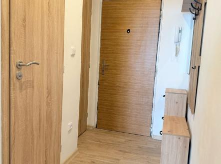 Vstupní hala s dřevěnými dveřmi, parketovou podlahou a vestavěnými úložnými prostory; moderní novostavba. | Pronájem bytu, 1+kk, 35 m²