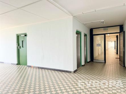Průchozí chodba s dlažbou, světlé stěny, dvě zelené dveře a velká okna na konci. | Pronájem bytu, 1+kk, 35 m²