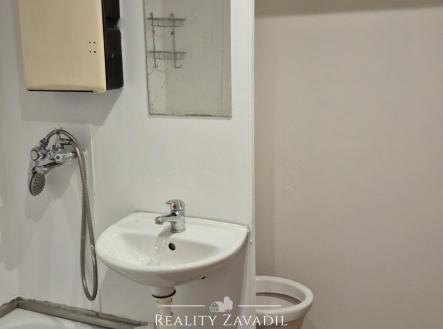 20250110_101326 | Pronájem bytu, 1+1, 32 m²