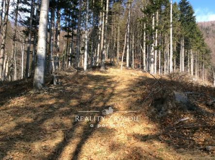 IMG_2202 | Prodej - pozemek, les, 27 814 m²