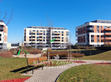 20260313_135227_upr | Pronájem bytu, 1+kk, 34 m²