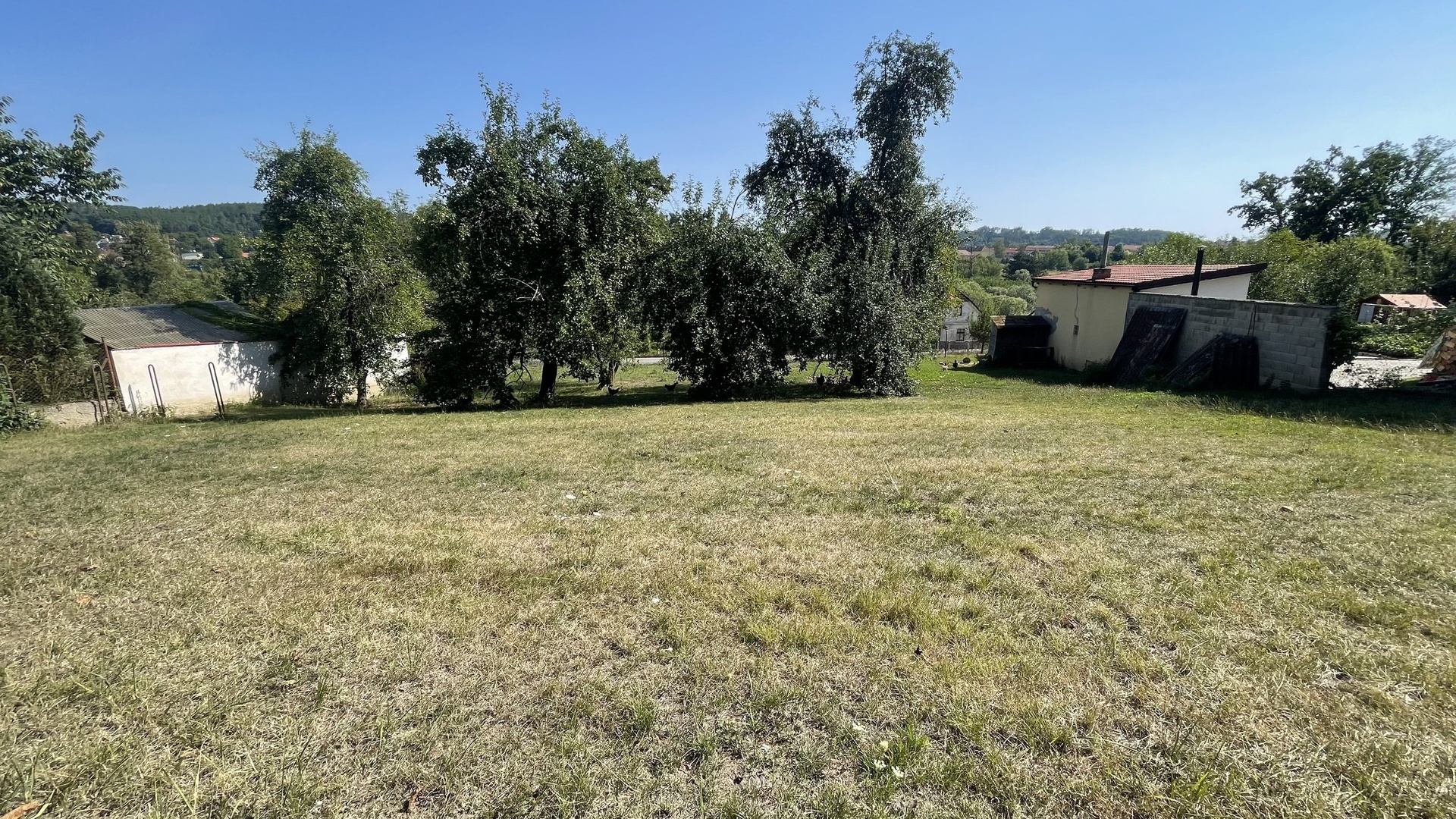 Podělusy
