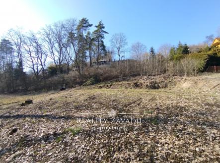 Prodej - pozemek, zahrada, 934 m²