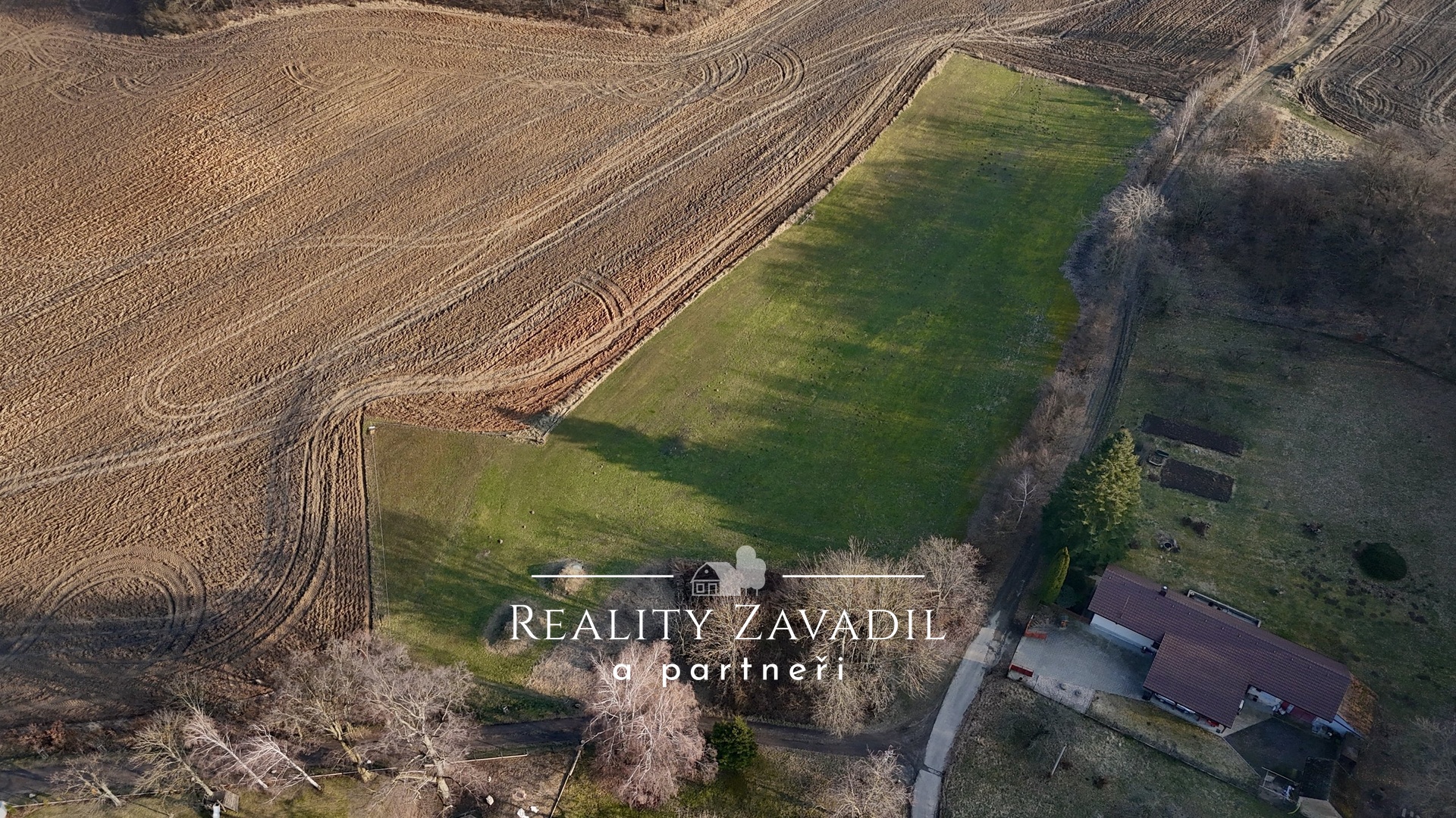 dji_fly_20260304_155756_0104_1772639738879_photo