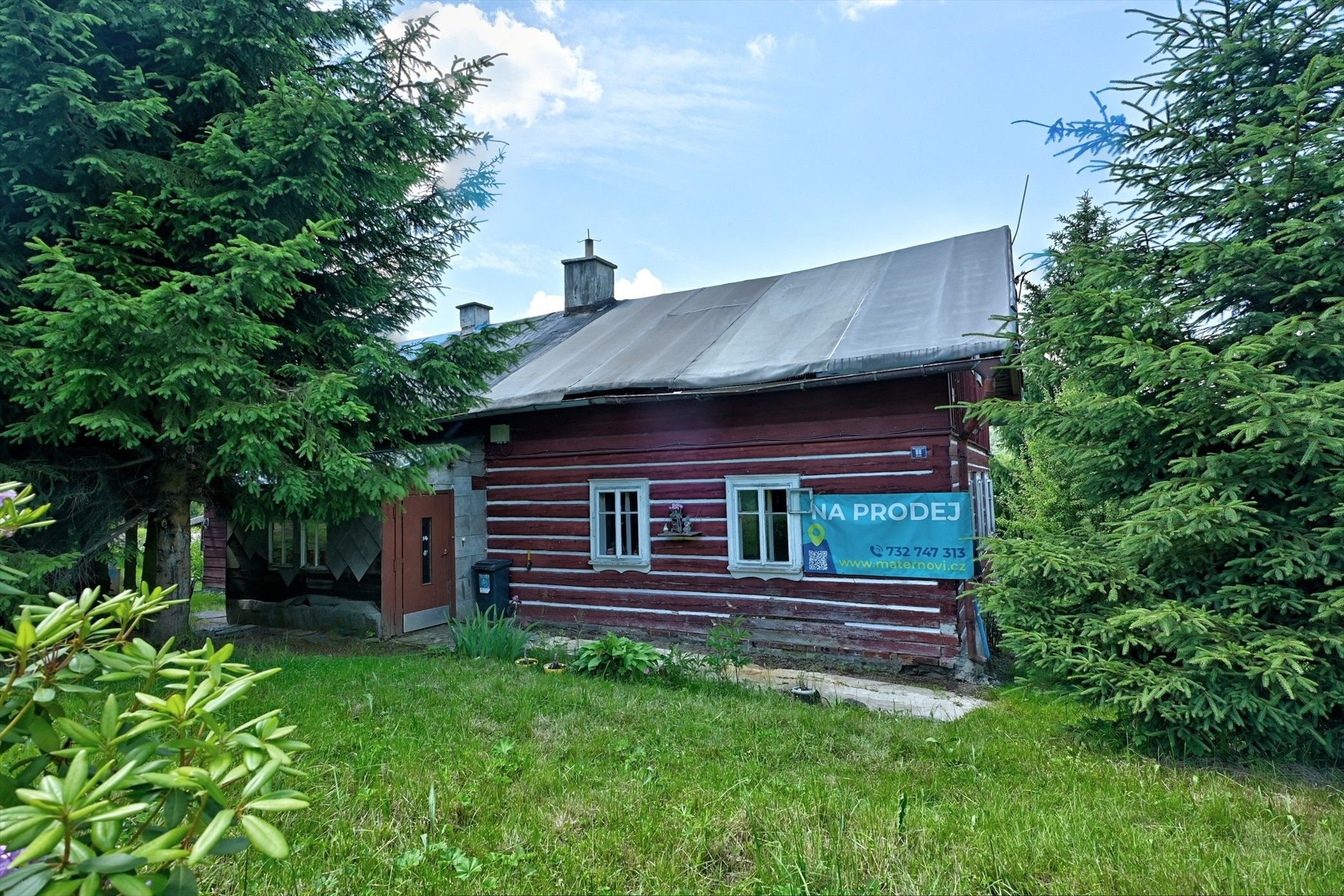 Janoušková foto 3