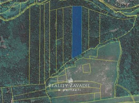 ADLc1cbBh2iR1DkJuFLCeqS6Phd8JJGFLMj4AcD9y5uIZnTwo4OP3tZFGE_i0STb310wZ7k | Prodej - pozemek, les, 11 917 m²