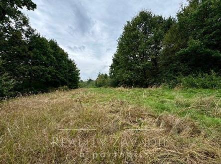 1 | Prodej - pozemek, trvalý travní porost, 3 072 m²