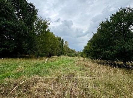 3 | Prodej - pozemek, trvalý travní porost, 3 072 m²