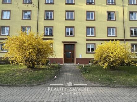 IMG_9876 | Pronájem bytu, 2+1, 65 m²