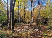 Prodej - pozemek, les, 25 462 m²
