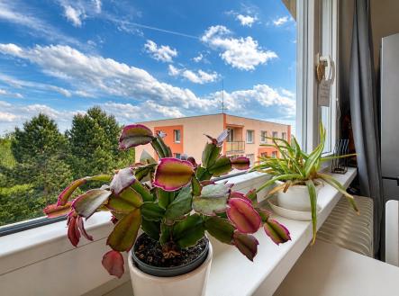 Prodej bytu, 3+1, 73 m²