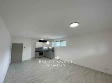 IMG_4949 | Pronájem bytu, 2+kk, 63 m²