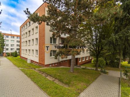 prodej-bytu-3-1-slunecna-zlin-3.jpg | Pronájem bytu, 3+1, 68 m²