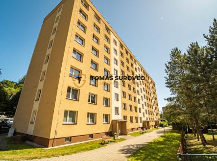 Prodej bytu, 3+1, 78 m² obrázek