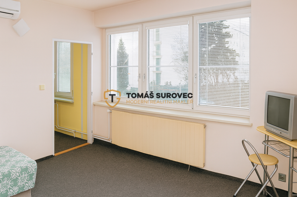 pronajem-bytu-1-1-stefanikova-2.png