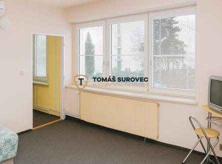 pronajem-bytu-1-1-stefanikova-2.png | Pronájem bytu, 1+1, 28 m²