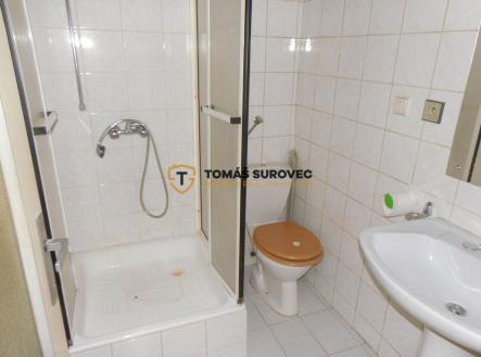 dsci1802.jpg | Pronájem bytu, 1+kk, 19 m²