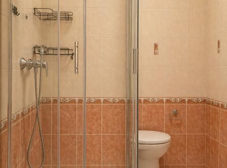 koupelna.png | Prodej bytu, 1+kk, 28 m²