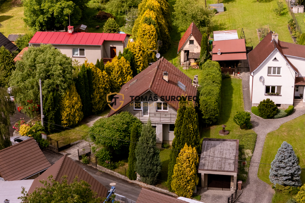 lesna-1.jpg