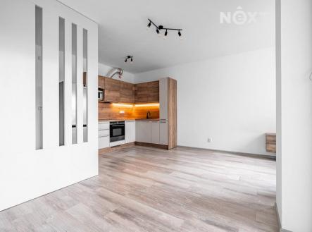 Pronájem bytu, 1+kk, 41 m²