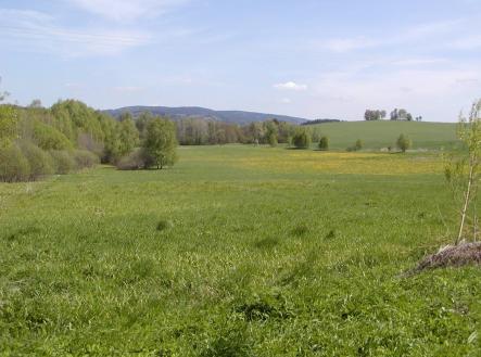 Pohled na pozemek | Prodej - pozemek pro bydlení, 48 837 m²